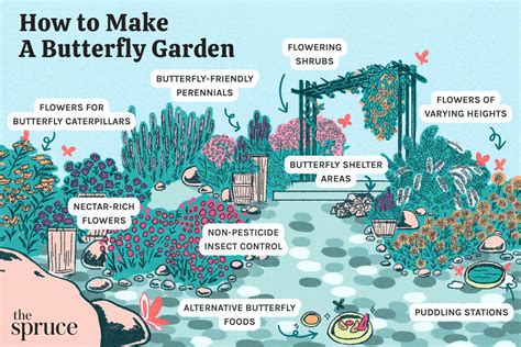 How to grow a garden for butterflies .